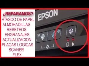 todo lo que hacemos 300x225